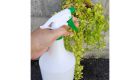 Bình xịt 1200ML