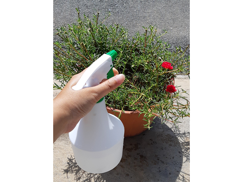 Bình xịt 600ML