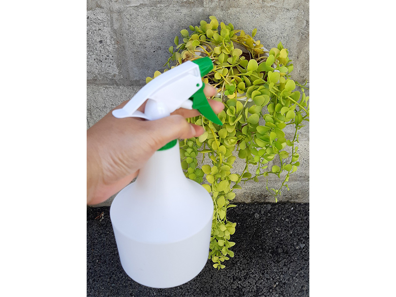Bình xịt 1200ML